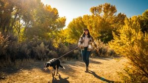 Dog walking trail at Carson River Park