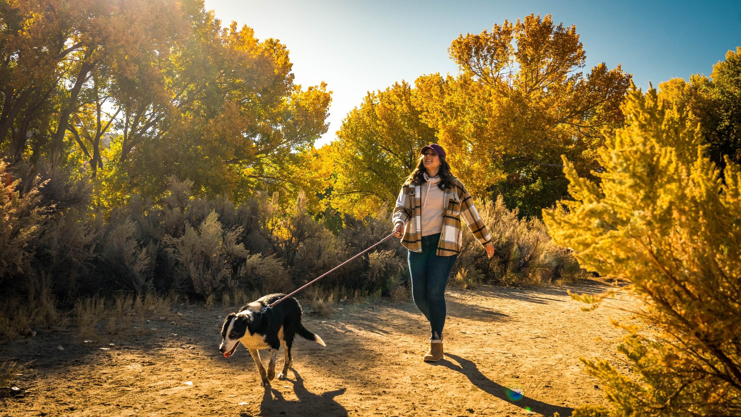 Dog walking trail at Carson River Park