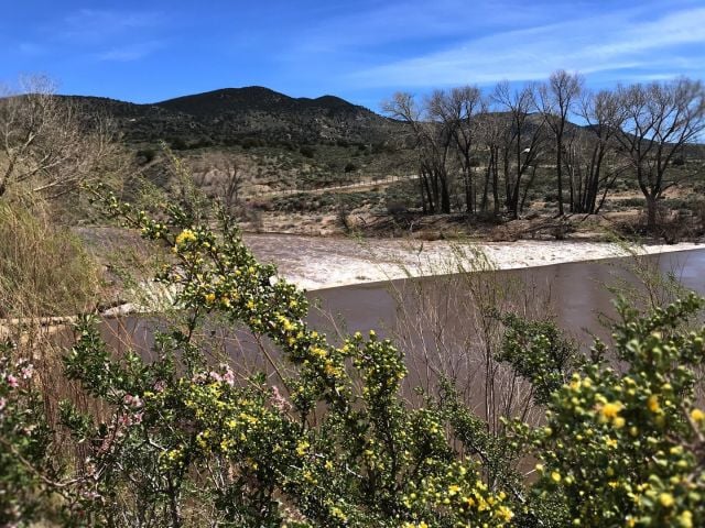 The trail from Carson River Park to the Mexican Dam is one of the most popular trails on the east side following along side the Carson River. As part of the Carson River Trail System there's miles of newly connected trails to explore. 💧 ⛰️ 

Find hiking: visitcarsoncity.com/hiking