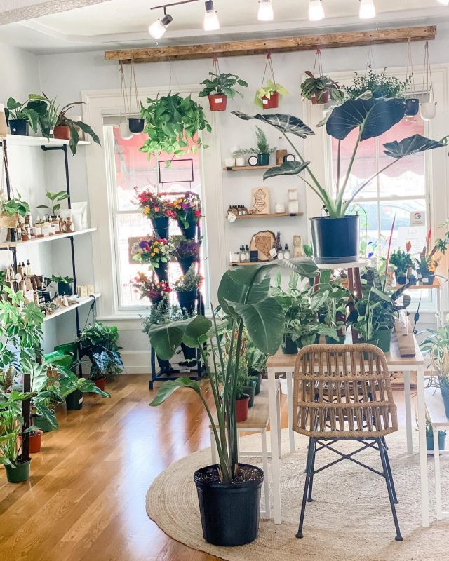 Trek for treasures in Carson City! Read about all the hidden gems around town in our link in bio for our blog page. 🍃 

📍 @keepgrowing775