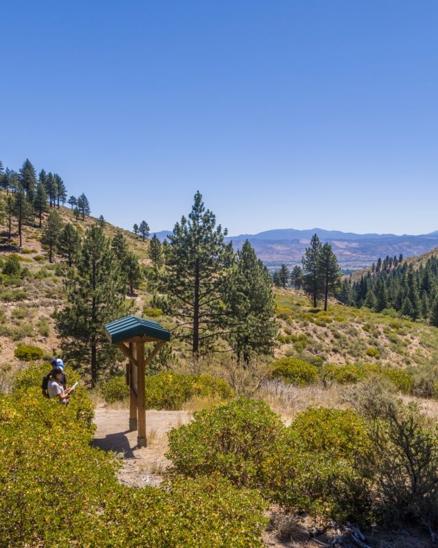 National Trails Day is this Saturday June 4, download our Hungry Hikers and Bikers Free Pass and check in on our trails to earn entries to our Carson City Prize Pack Giveaway and score discounts to local retailers and restaurants. Download at visitcarsoncity.com/hungryhikers or see link in bio.