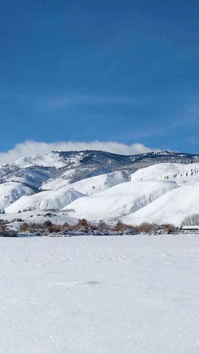 A beautiful winters day here Carson City! 
❄️
And how about those views!?