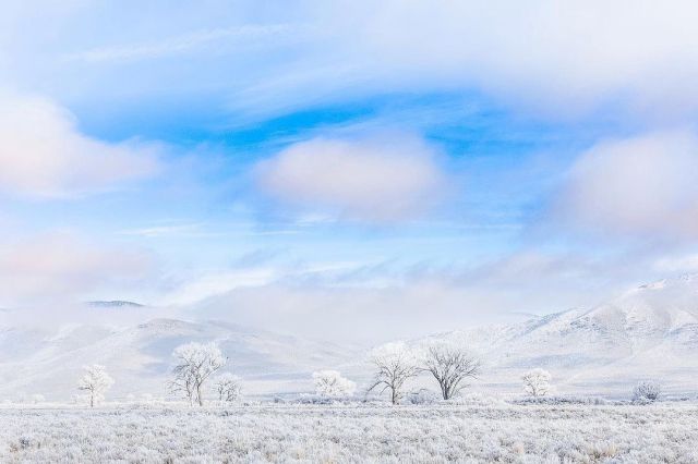 Jack Frost is nipping at our nose here in Carson City ☃️❄️

📸: @robertcolephotography